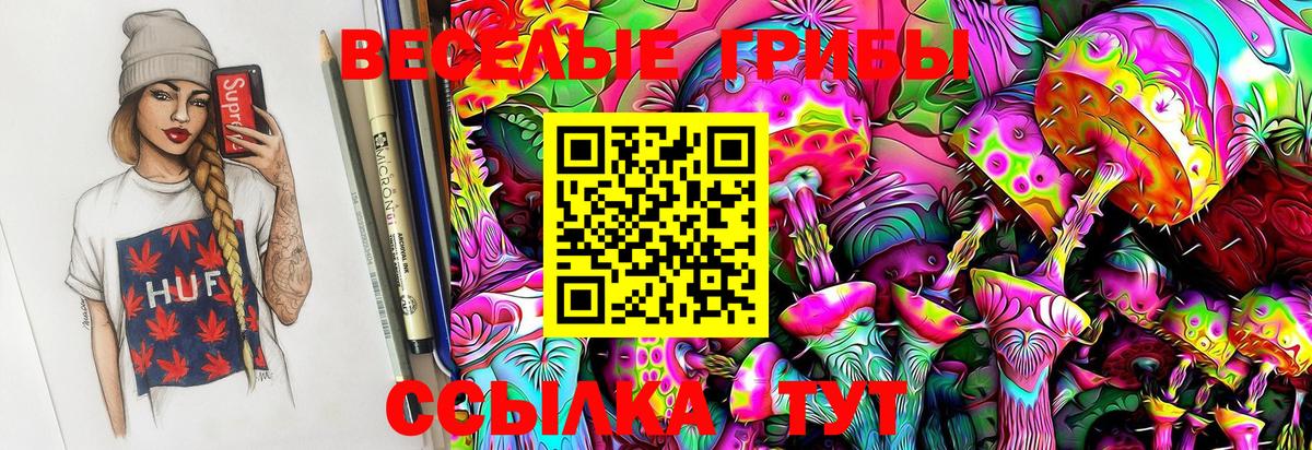 Пенза  Псилоцибиновые грибы MAGIC MUSHROOMS  Вход с VPN  Псилоцибиновые грибы Psilocybine cubensis 